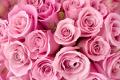 «Сонник розовые Цветы приснились, к чему снятся во сне розовые Цветы Видеть во сне розовые цветы